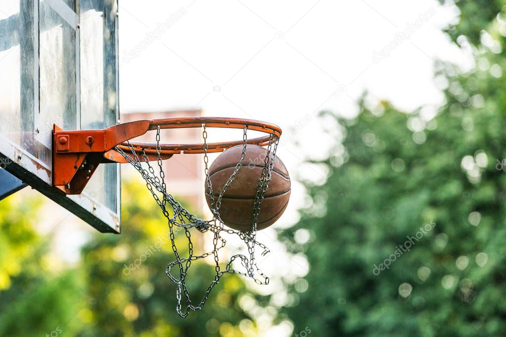 Picture of a basketball field goal with the trees in background.