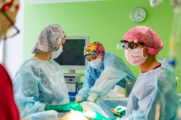 Cirugía de liposucción cosmética en quirófano real mostrando el grupo de cirujanos durante la operación —  Fotos de Stock