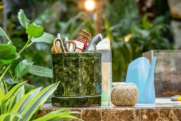 A lot of garden accessories on the table in greenhouse