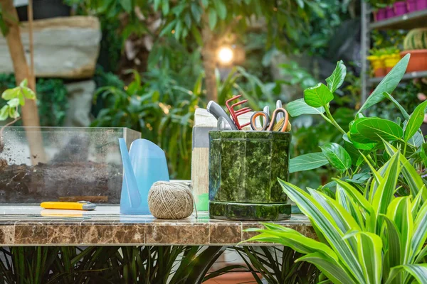 A lot of garden accessories on the table in greenhouse