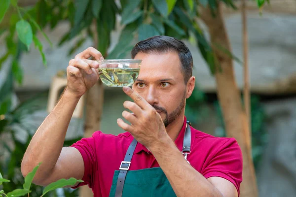 Чоловік садівник тримає ємність з водою з паростками своїми руками — стокове фото