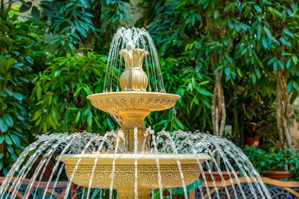 Intérieur de la Grande Maison Verte aux Plantes Exotiques Tropicales et avec une grande fontaine — Photo