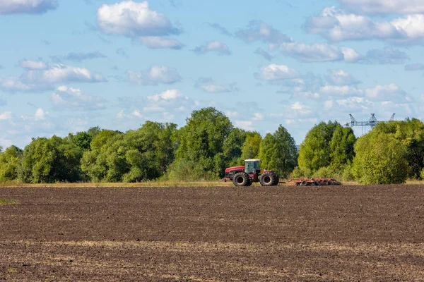 Erba campo, verde paesaggio primaverile con un bel cielo — Foto Stock