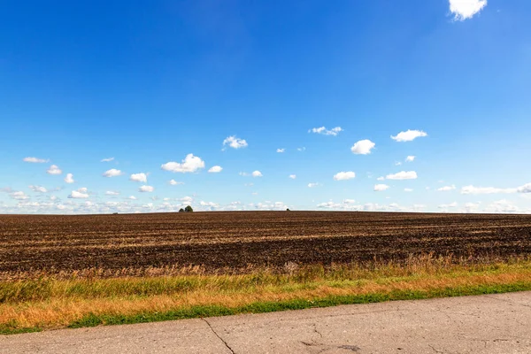 Grass field, green spring landscape with a beautiful sky — Stock Photo, Image