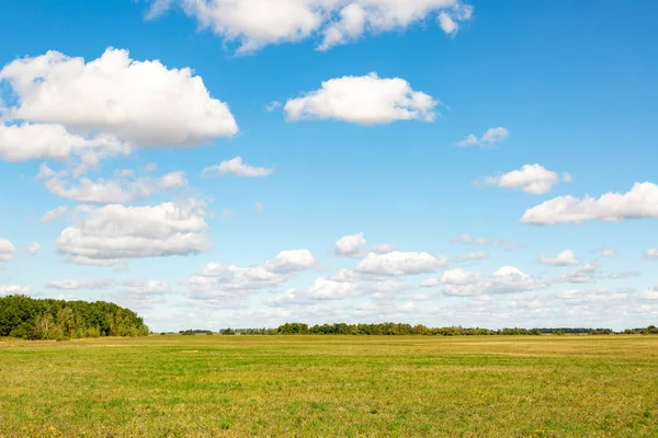 Grass field, green spring landscape with a beautiful sky — Stock Photo, Image