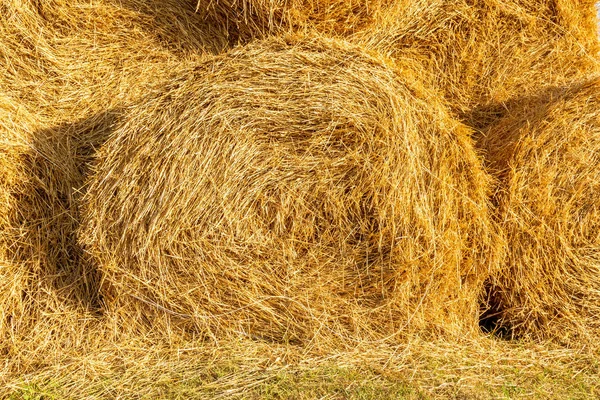 Background of straw stack, twisted in the form of a spiral for storage of dry straw and use in agriculture and livestock production