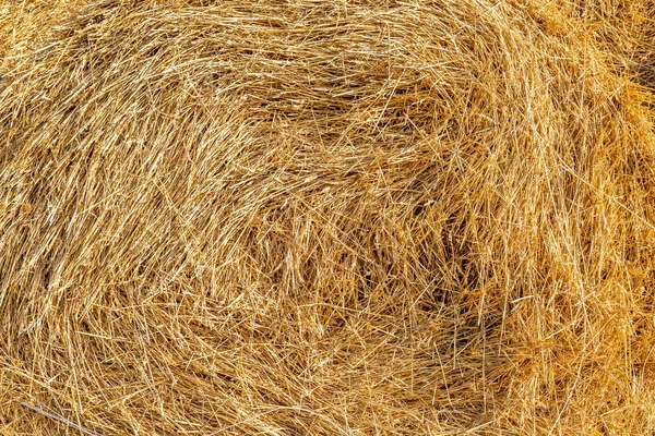 Contexto da palha empilhada, torcida na forma de uma espiral para armazenamento de palha seca e uso na agricultura e produção pecuária — Fotografia de Stock