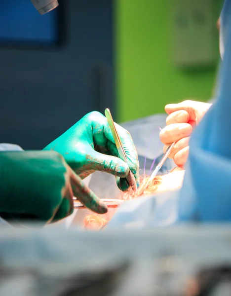 Chirurgie, geneeskunde en mensen concept - drie chirurgen in operatiekamer in ziekenhuis tijdens hun werk. — Stockfoto