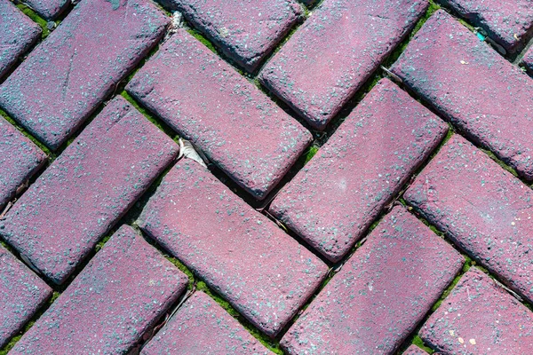 Outdoor brick pavers laid in herringbone pattern
