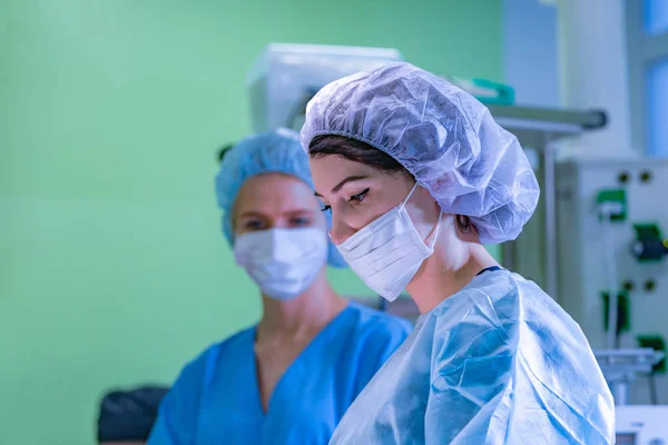 Surgeon and his assistant performing cosmetic surgery on nose in hospital operating room. Nose reshaping, augmentation. Rhinoplasty. Royalty Free Stock Photos