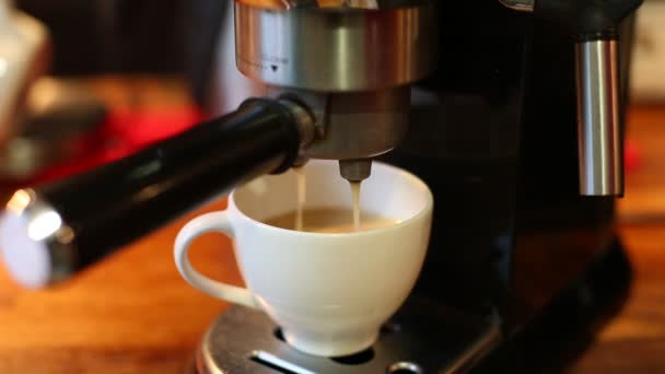 Legen Sie den Halter aus dem Kaffee in die Kaffeemaschine Nahaufnahme — Stockvideo