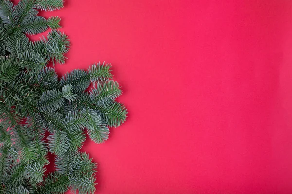 Noel kompozisyonu. Noel kırmızı süslemeleri, kırmızı arka planda köknar dalları. Düz konum, üst görünüm, kopyalama alanı — Stok fotoğraf