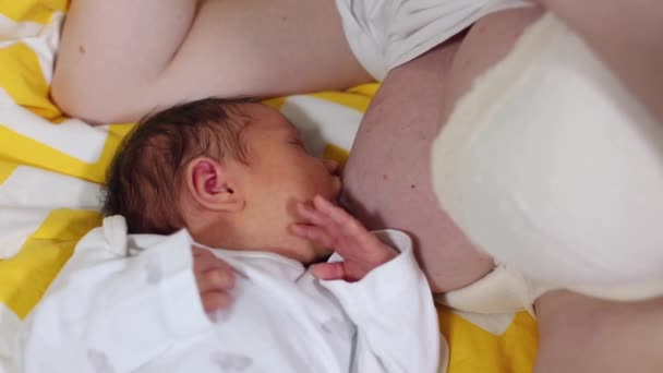 Un bambino che beve dal seno materno. Bambino lattante. Madre che allatta e nutre il suo bambino da vicino. Allattamento concetto suggerimenti. Base della maternità . — Video Stock