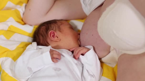 Neonato che dorme tranquillamente sul petto della madre. Allattamento concetto suggerimenti. Base della maternità . — Video Stock