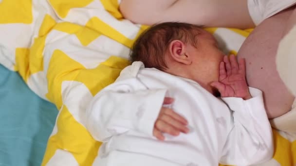 Um bebé a beber do peito da mãe. Bebê chupando bebê. Mãe amamentando e alimentando seu bebê de perto. Conceito de dicas de amamentação. Base da maternidade . — Vídeo de Stock