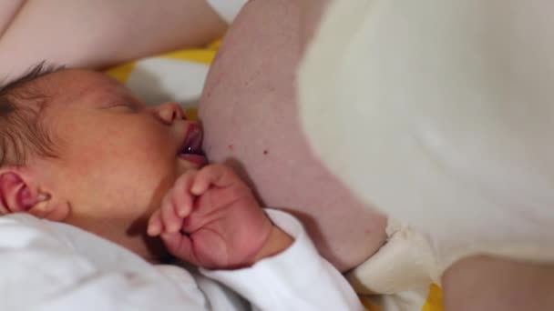 Bebé bebiendo del pecho de la madre. Bebé amamantando. Madre amamantando y alimentando a su bebé de cerca. Concepto de consejos de lactancia materna. Base de la maternidad . — Vídeos de Stock