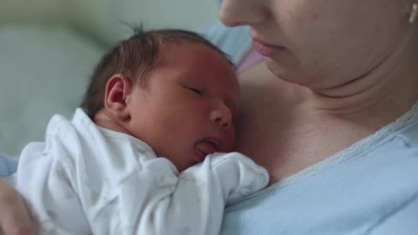 Bebê recém-nascido dormindo pacificamente sobre o peito da mãe — Vídeo de Stock