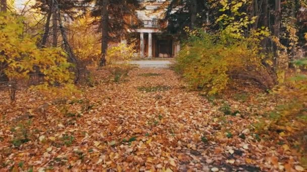 4 k. ズームとげのある家の入口で台無し。秋のカラー映像 — ストック動画