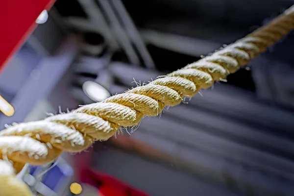 Close up white battle rope for exercise in the gym. Copy space