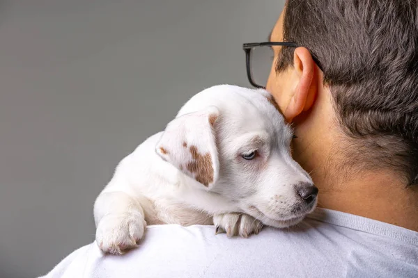 Horizontal portrait of handsome cheerful man holds jack russell terrirer, has glad expression — Stock Photo, Image