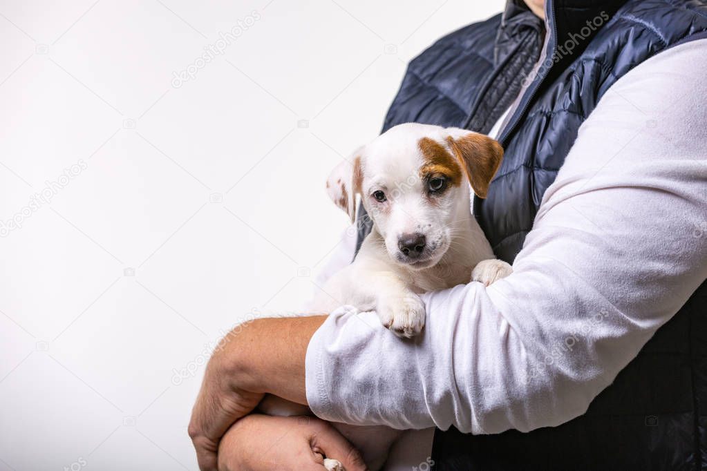 Horizontal portrait of handsome cheerful man holds jack russell terrirer, has glad expression