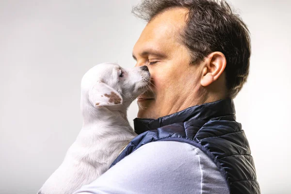 Horizontal shot of handsome male kisses his jack russell terrier dog, have good relationship, pose against white background with blank copy space.