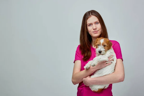 Beautiful girl with a jack russell terrier on her hands on a gray background, copy space — Stock Photo, Image