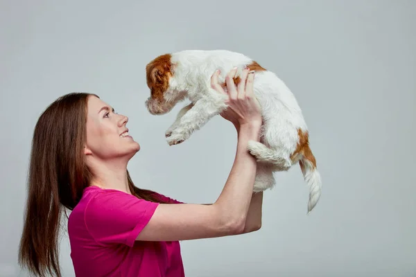 Beautiful girl with a jack russell terrier on her hands on a gray background, copy space — Stock Photo, Image