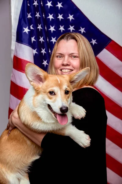 The dog lies on against american flag background the shoulder of its owner.Welsh Corgi in his owners hands on . The concept of people and animals. — Stock Photo, Image
