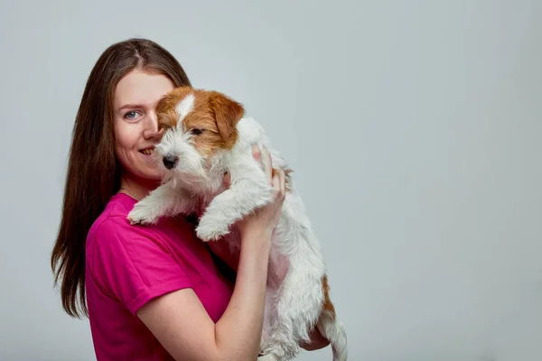 Beautiful girl with a jack russell terrier on her hands on a gray background, copy space — Stock Photo, Image