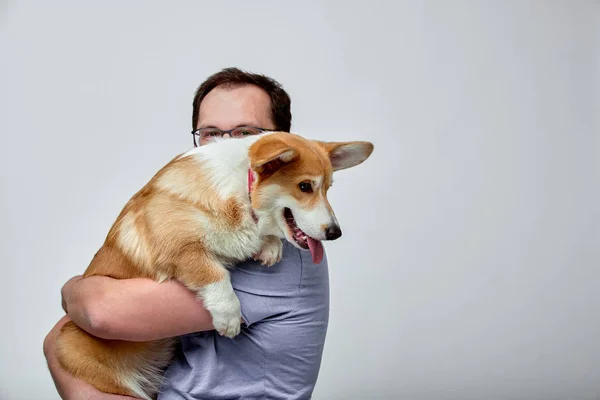The dog lies on the shoulder of its owner.Welsh Corgi in his owners hands on white background. The concept of people and animals. — Stock Photo, Image
