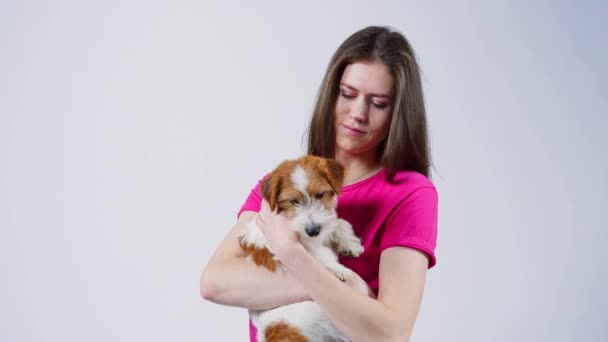 Счастливая красивая девушка в розовой футболке обнимает щенка Джека Рассела Терьера, смотрит в камеру, серый фон, крупный план — стоковое видео