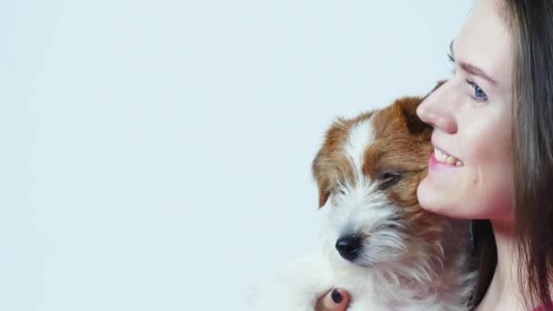 Mutlu güzel kız pembe tişört içinde a köpek yavrusu Jack Russell Terrier hugs, görünüyor kamera, gri arka plan, yakın çekim — Stok video