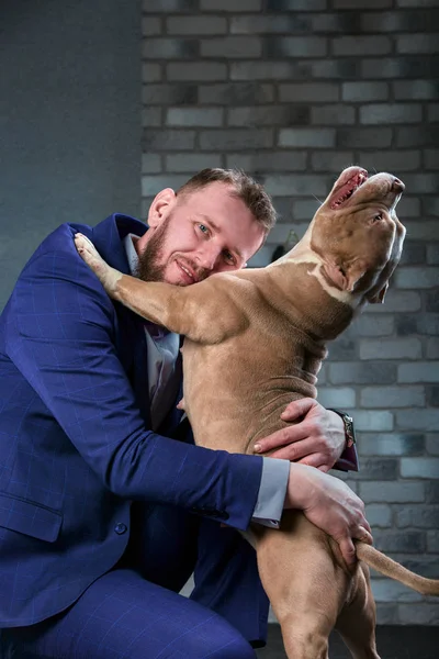 Bulli cão e seu dono, seu mestre amoroso que segura o cão em seus braços, abraços e beijos. O cão se sente bem nas mãos dos proprietários — Fotografia de Stock