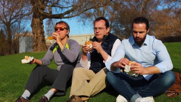Znajomi jedzą i rozmawiają o piknik w parku w lecie — Wideo stockowe