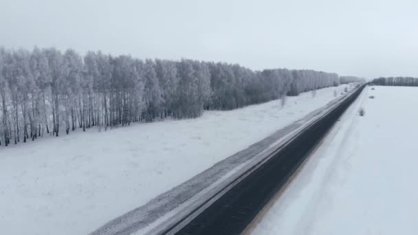 Winter road, snow fields and snow forest, shot from above. Flying along a narrow dark road in the snow. — Stock Video