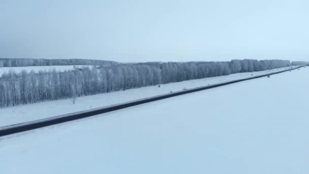 Zimní sezóna. Sněžný les, letecký záběr. Dech beroucí přírodní krajina, zamrzlé lesy a tmavá polní cesta se sněhem. — Stock video