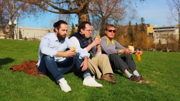 Os amigos comem e conversam, fazem piquenique no parque no verão. Acampar depois do dia de trabalho. Comida no parque, pausa para almoço na natureza. 3 homens comem sanduíches em um gramado verde . — Vídeo de Stock