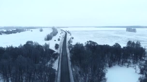 Saison d'hiver. Forêt de neige, prise de vue aérienne. Paysage naturel à couper le souffle, forêt gelée et route sombre vont à la forêt . — Video