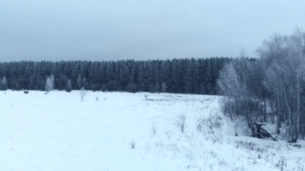 Zimní sezóna. Sněžný les, letecký záběr. Dech beroucí přírodní krajina, zamrzlé lesy a tmavá polní cesta se sněhem. — Stock video