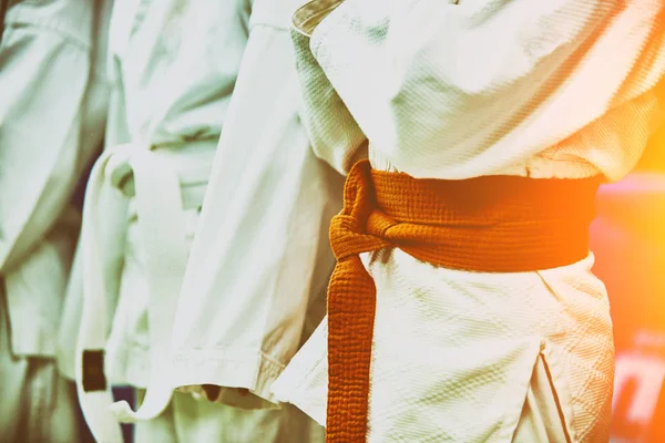 Concept karate, martial arts. Construction of students in the hall before training. Kimono, different belts, different levels of training — Stock Photo, Image