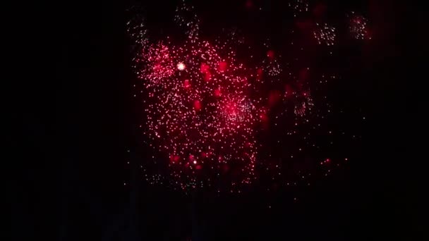 Rote Blitze von Feuerwerk. Buntes Feuerwerk am Nachthimmel. Viele Blitze. — Stockvideo