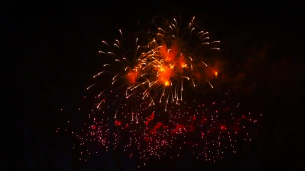 Exibição de fogo de artifício à noite no fundo preto. Brilhante brilhante vermelho verde amarelo explosões. Incrivelmente bonito — Vídeo de Stock