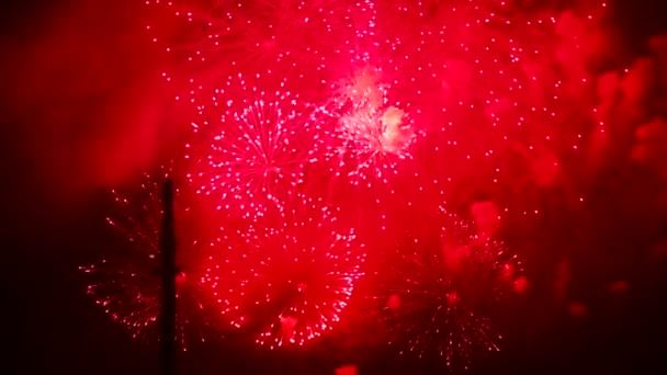 Red flashes of fireworks. Colorful fireworks in the night sky. Many flashes. — Stock Video