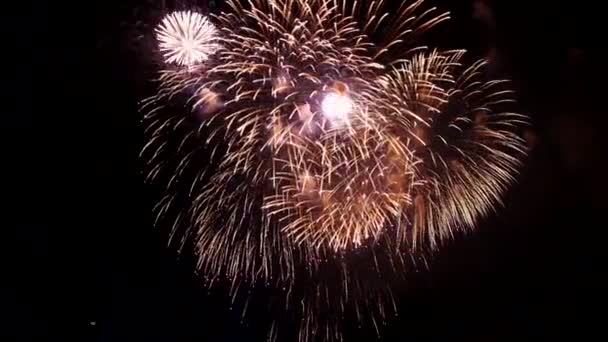 Feuerwerk in der Nacht auf schwarzem Hintergrund. grell grelle rot-grün-gelbe Explosionen. Erstaunlich schön — Stockvideo