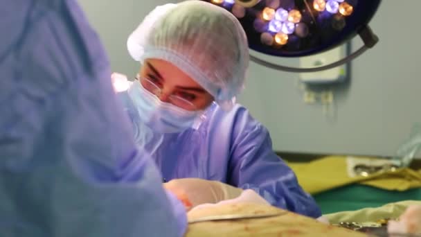 En el quirófano del hospital. Un equipo diverso de cirujanos profesionales y enfermeras, una herida de sutura después de una operación exitosa — Vídeos de Stock