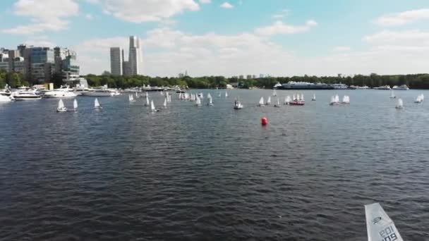Beautiful panoramic view. Small sailing boats on the river, Competition. Regatta. Racing sailing sports courts. Training on small sailboats. Filming from the air. View from above. — Stock Video
