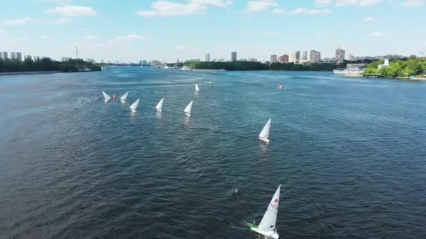 美丽的全景。河上的小帆船，比赛。帆船 赛。赛车帆船运动场。小帆船训练。从空中拍摄。从上面查看. — 图库视频影像