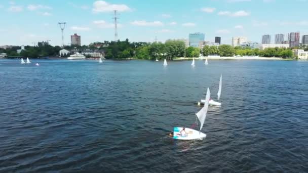 Beautiful panoramic view. Small sailing boats on the river, Competition. Regatta. Racing sailing sports courts. Training on small sailboats. Filming from the air. View from above. — Stock Video