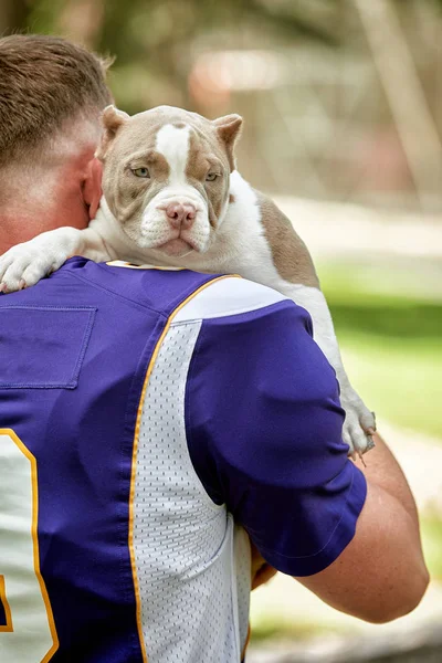 American football player with a dog posing on camera in a park. Copy space, sports banner. Concept american football, sport for the protection of animals.